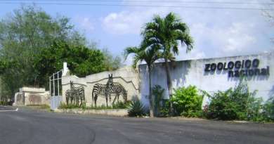 Zoológico Nacional de Cuba solo ofrece servicios gastronómicos en entradas