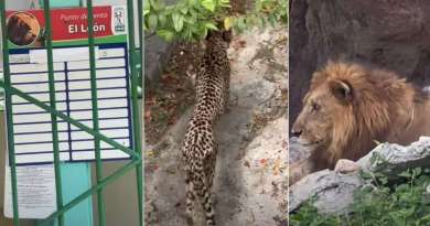Youtuber denuncia escasez y maltrato animal en el Zoológico de 26