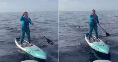 Tiburón martillo sigue a mujer en tabla de paddle surf frente a costas de Florida