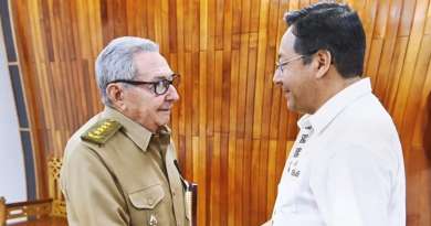 Raúl Castro recibe a presidente de Bolivia y le transmite "fuerzas revolucionarias" y un mensaje de Moscú