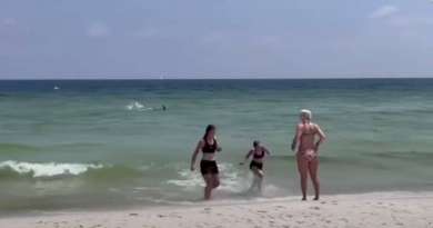 Tiburón desata el pánico en una playa de Florida