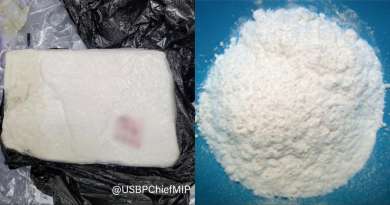 Encuentran ladrillo de cocaína valorada en 41 mil dólares en Cayos de Florida