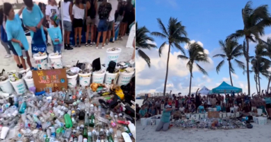Voluntarios retiran más de 1,000 libras de basura de la costa en Miami