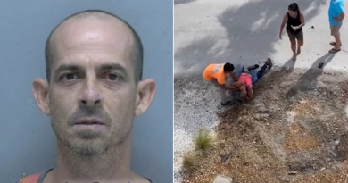 Cubano arrestado tras pelea por gallinas en barrio del sur de Florida
