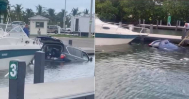 Conductor en Miami termina con el carro hundido al intentar echar un bote al mar