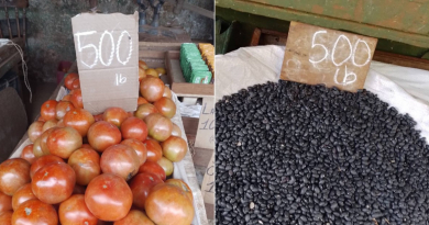 Cubanos reaccionan a precios en un agro de La Habana: "Vamos por más"