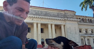 Condenan a animalista cubano a dos años de prisión por llamar a la calle contra Díaz-Canel y el comunismo