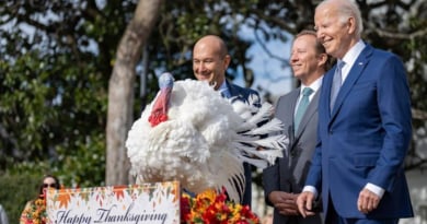 Biden indulta a Liberty y Bell: Dos pavos libres de peligro en Acción de Gracias
