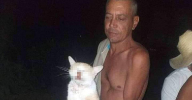 Piden justicia por muerte de un gato para "fin de año" en Cuba