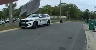 Policía de Florida acribilla a tiros su propia patrulla tras asustarse con una bellota