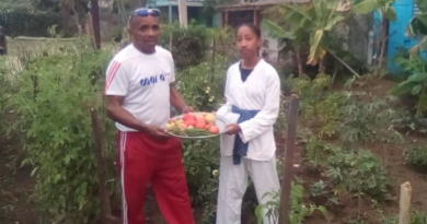 Premian a taekwondoca cubana con tomates y cebollas en Guantánamo