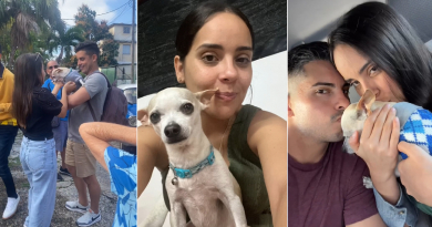 Jóvenes cubanos logran llevar su mascota a EE.UU. tras dos años de espera