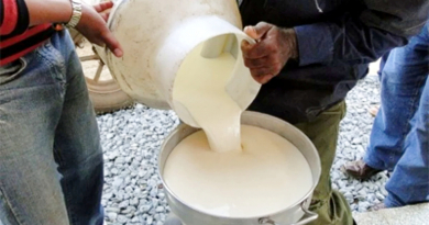 Cuba produce menos leche hoy que en el Período Especial