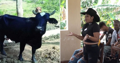 “La policía no cree en nosotros” denuncian jóvenes ganaderos de Santiago de Cuba