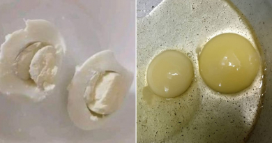 Continúa polémica por venta de huevos con yema blanca en Cuba