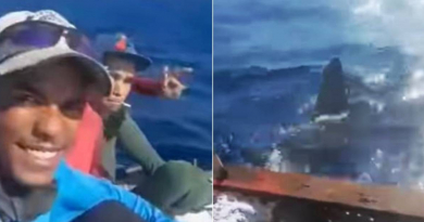 Tiburón martillo ataca balsa de pescadores cubanos