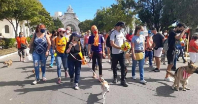 Seguridad del Estado cita a animalista en vísperas del Día del Perro en Cuba