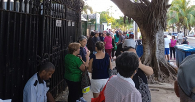 Cientos de personas hacen cola durante horas para comprar papa en mercado de La Habana