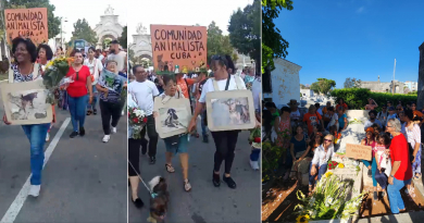 Animalistas cubanos marchan por el Día del Perro hasta el Cementerio de Colón