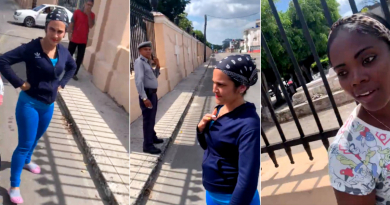 Seguridad del Estado detiene a periodista independiente por cubrir marcha de animalistas en Cuba
