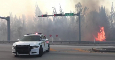 Incendios forestales devoran 270 acres de bosque en Miami-Dade 