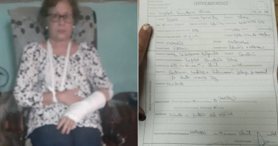 Diagnostican esguince en un hombro a académica cubana Alina López Hernández tras violento arresto