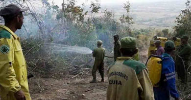 Sofocan incendio forestal de gran magnitud en Pinar del Río