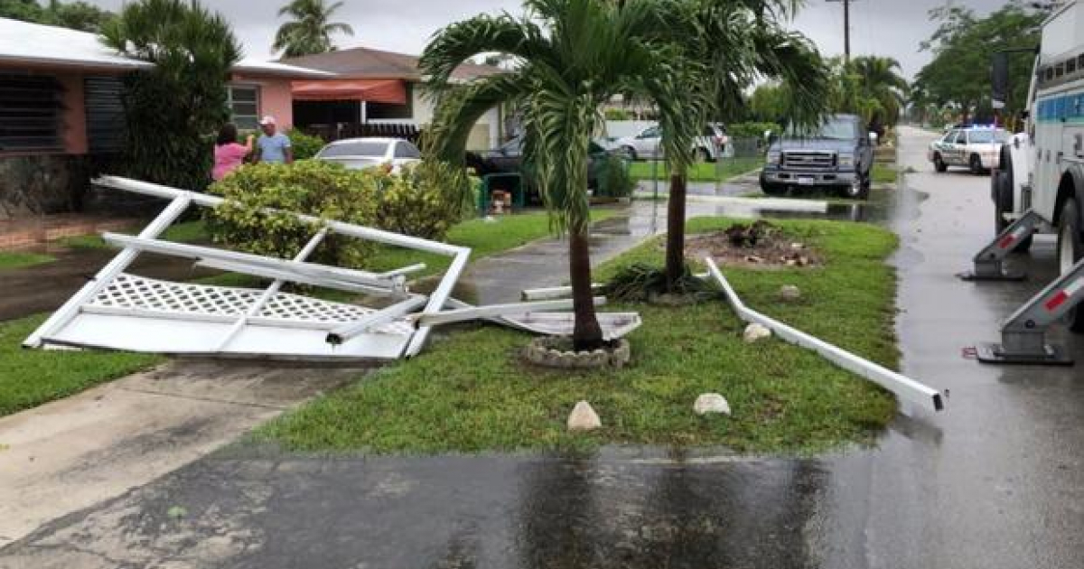 Tornado por tormenta Philippe levanta árboles en Miami sin provocar
