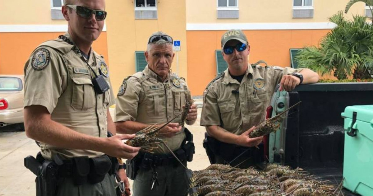 Agentes del FWC © Comisión de Conservación de Pesca y Vida Silvestre de Florida