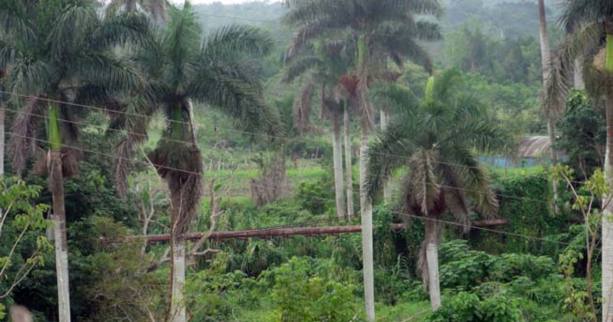 Puente sobre el río San Agustín, en Matanzas © ACN