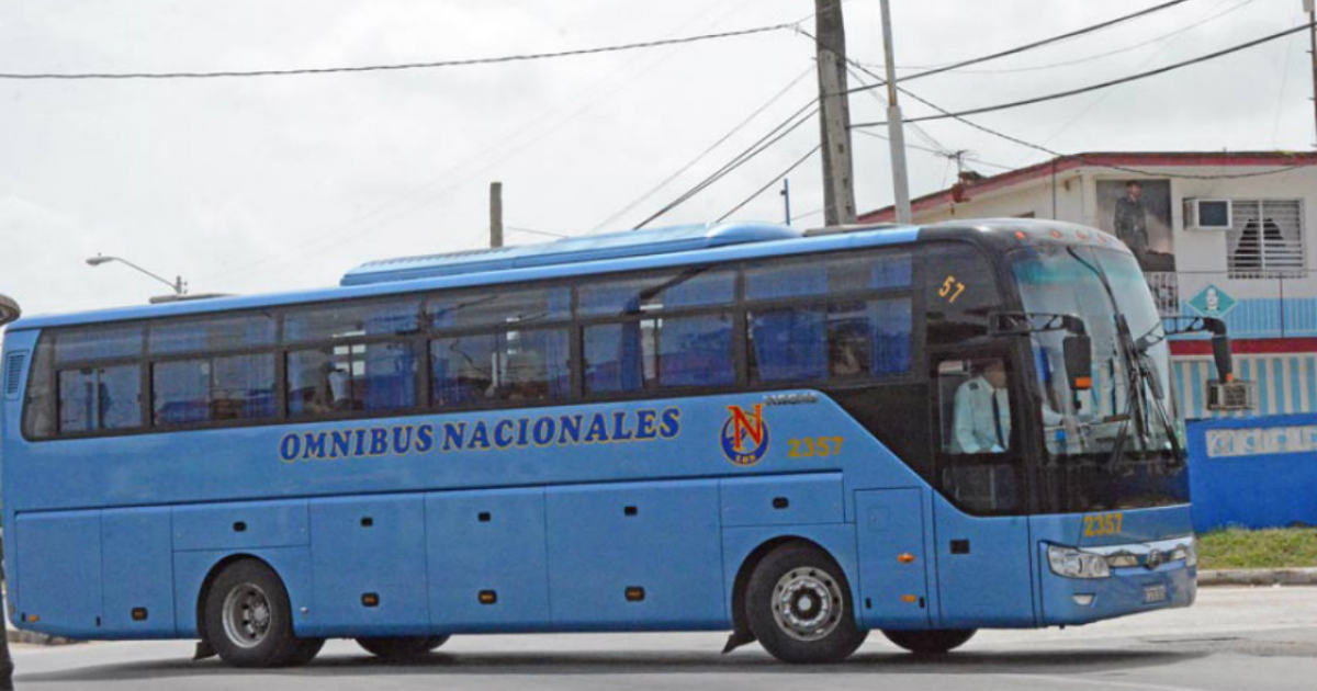 Yutong utilizada en el transporte de escolares. © Invasor.