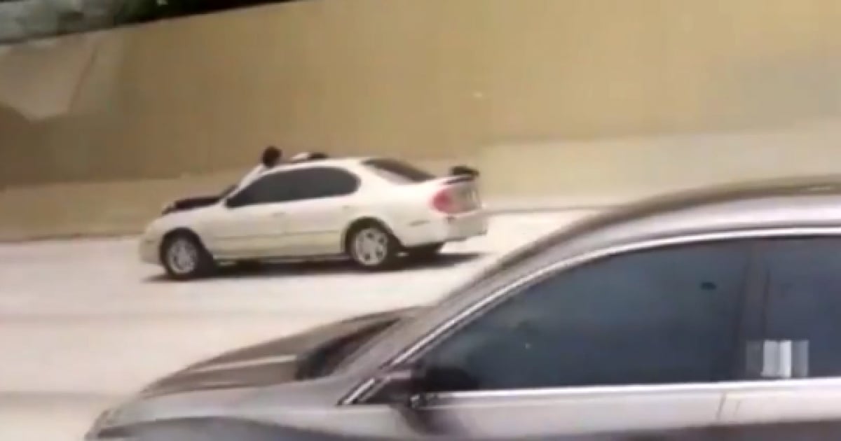 Hombre sobre el capó de un carro en Miami © Captura de video / Local 10