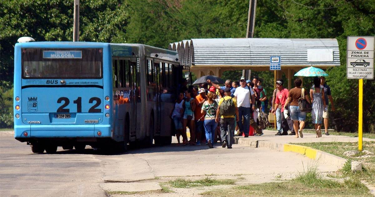 Transporte público en La Habana. © CiberCuba