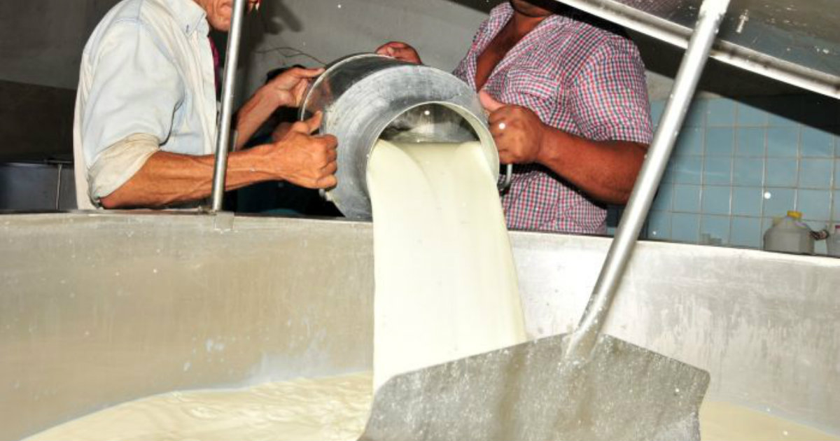 Industria láctea en Cuba © Escambray/ Vicente Brito