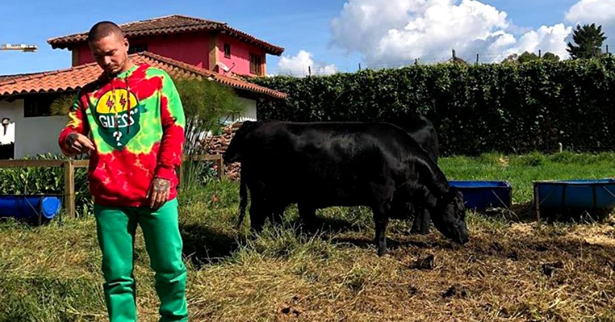 J Balvin posa junto a una vaca © Instagram / J Balvin