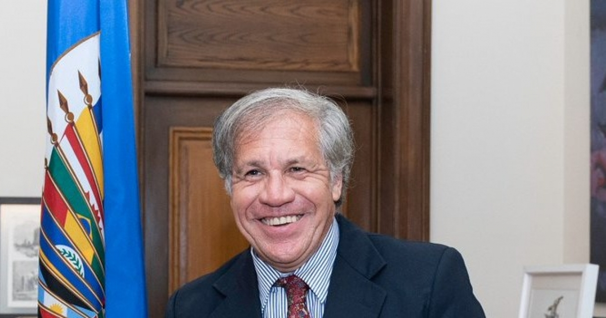 Luis Almagro, secretario general de la Organización de Estados Americanos (OEA) © Luis Almagro/ Twitter