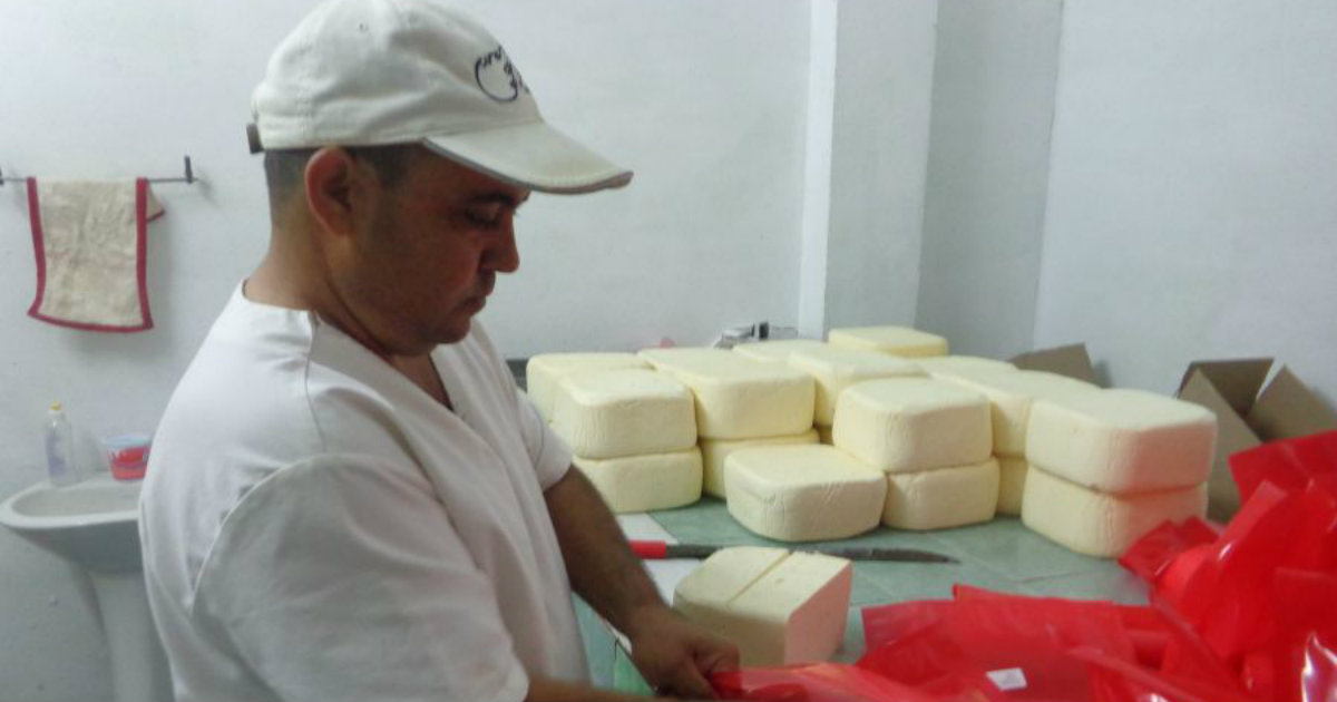 Un trabajador de la fábrica de queso de Sancti Spíritus, en una foto de archivo. © Escambray