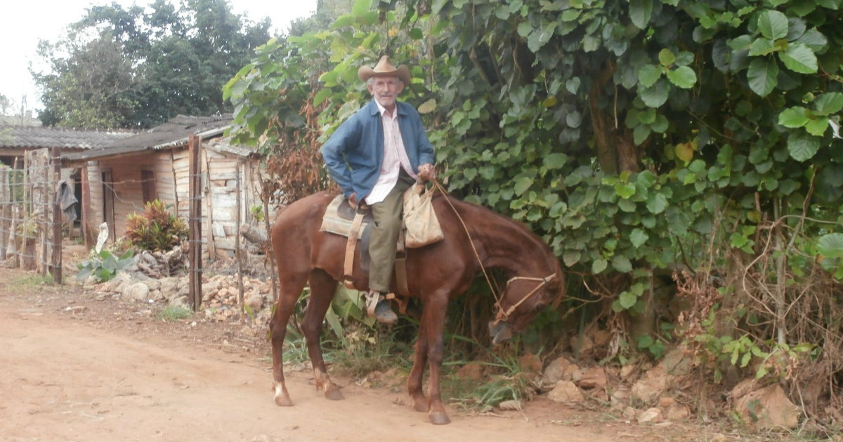 Campesino cubano posa subido a lomos de un caballo © Facebook / Day Oliva Martínez