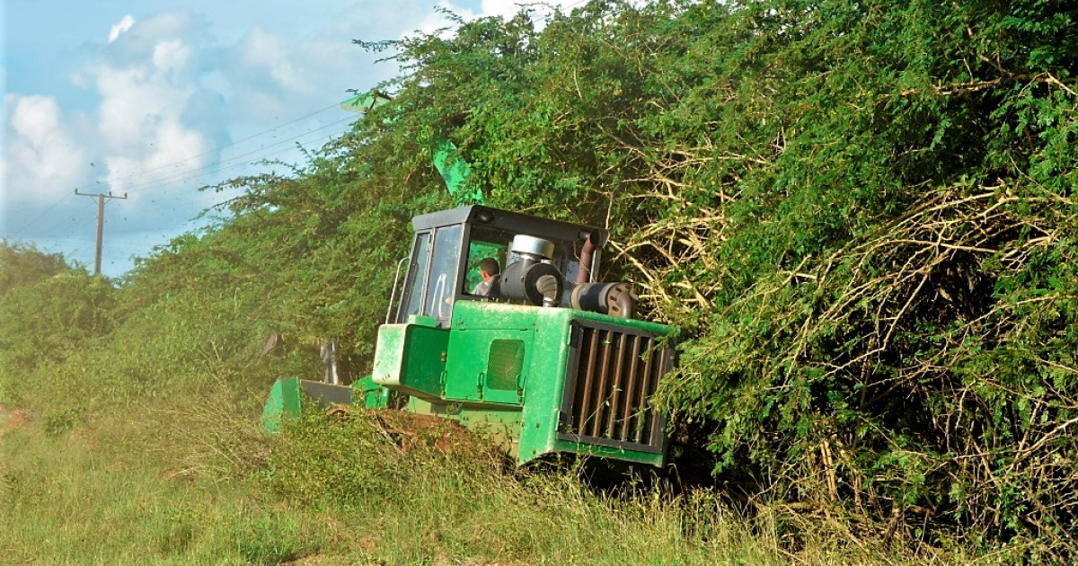 Una maquina trabaja en los campos de Cuba © Flickr / Delegación de la Unión Europea en Cuba