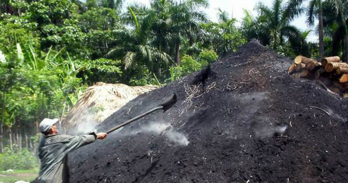 Trabajador cubano de la industria del carbón vegetal. © Radio Rebelde