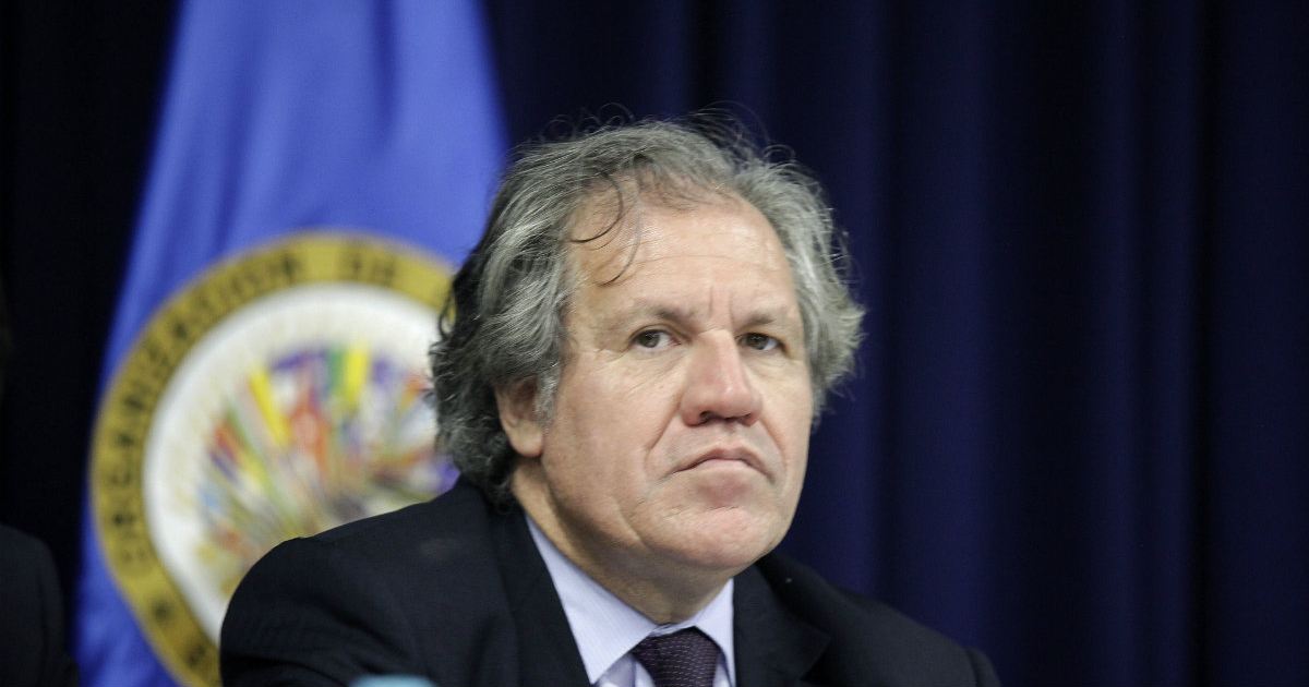 El secretario general de la OEA, Luis Almagro, en una imagen de archivo © Flickr / Presidencia El Salvador