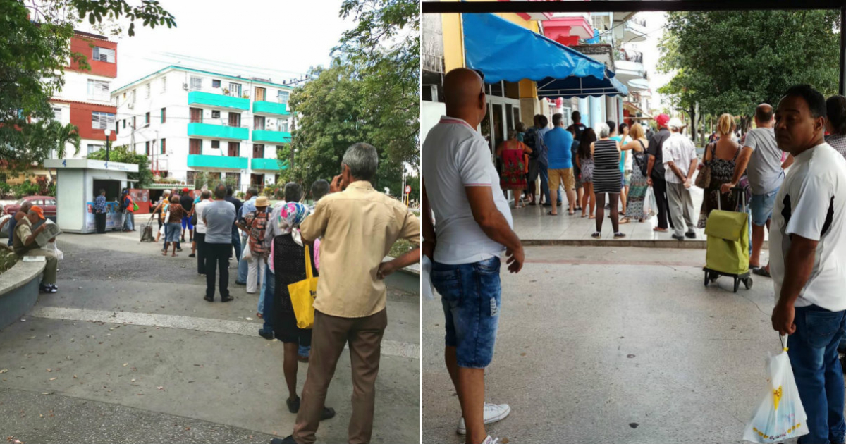 Colas para comprar la Constitución y para comprar el pan en Cuba. © CiberCuba.