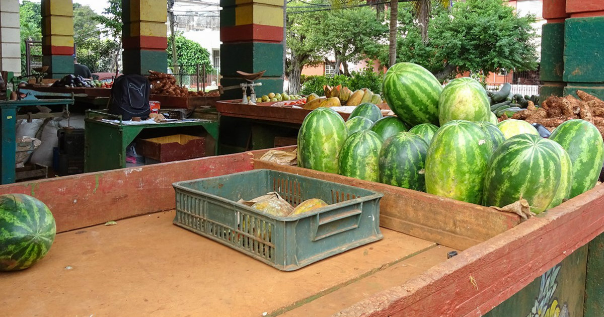 Frutas en venta en un puesto del Estado © CiberCuba
