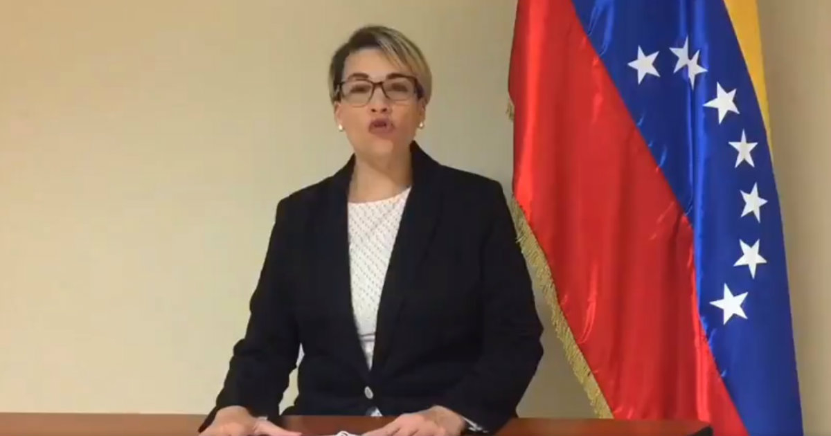 La diplomática venezolana Scarlet Salazar habla con la bandera al fondo © Twitter / @carlaangola