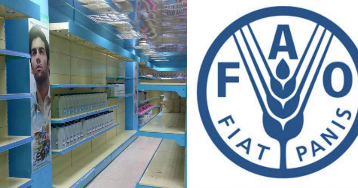 FAO felicita a instituciones cubanas © CiberCuba y FAO