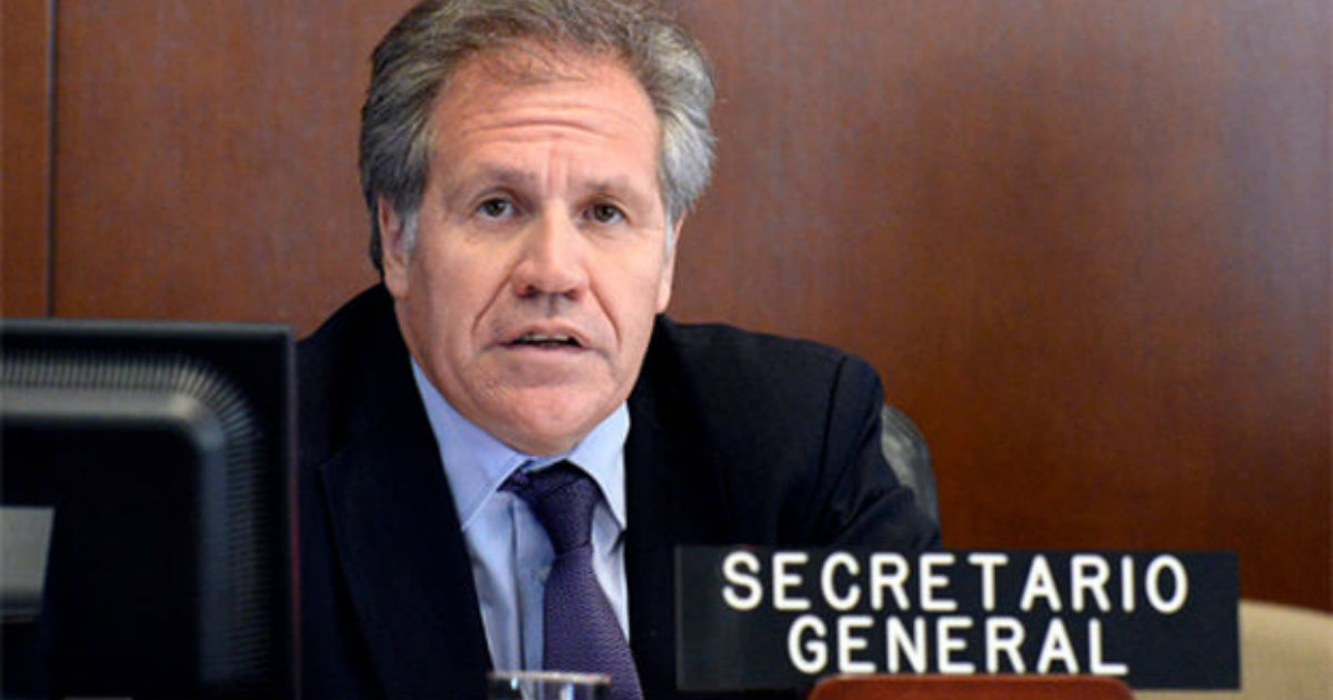 Luis Almagro © OEA