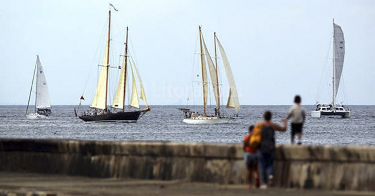 Veleros vistos desde el malecón habanero © Cubadebate