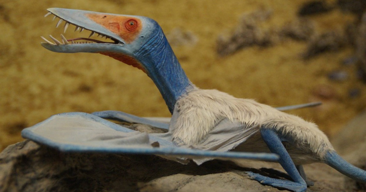 Reconstrucción virtual de un pterosaurio © YouTube/screenshot
