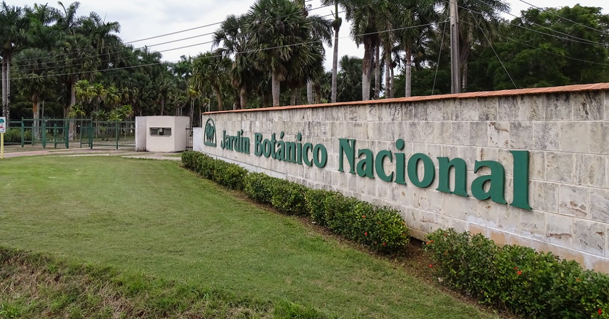 Jardín Botánico Nacional en La Habana © CiberCuba