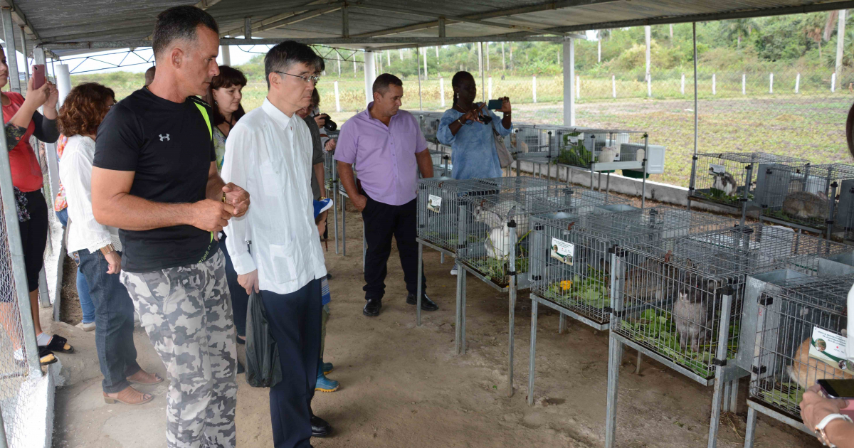 Kazuhiro Fujimura, embajador de Japón en Cuba, visita Isla de la Juventud © Juventud Rebelde/ Roberto Díaz Martorell